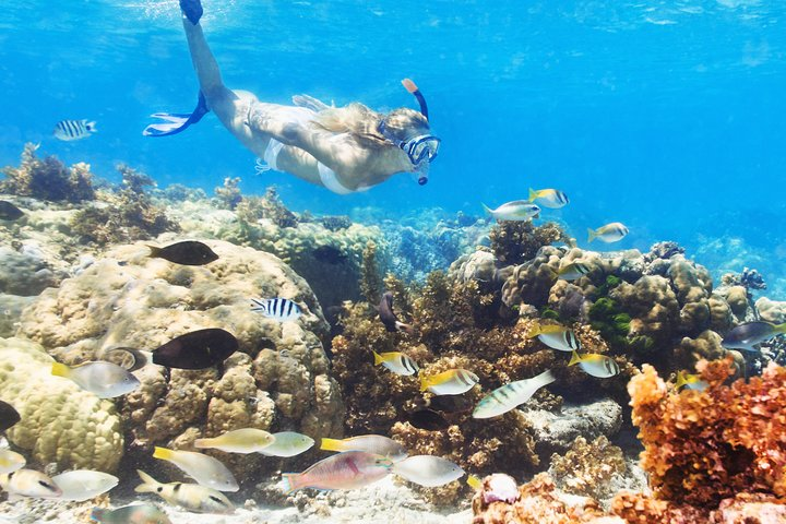 Snorkeling in Punta Cana